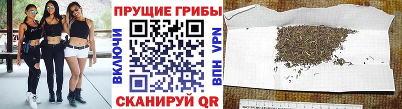 Псилоцибиновые грибы прущие грибы  наркошоп  Ликино-Дулёво 